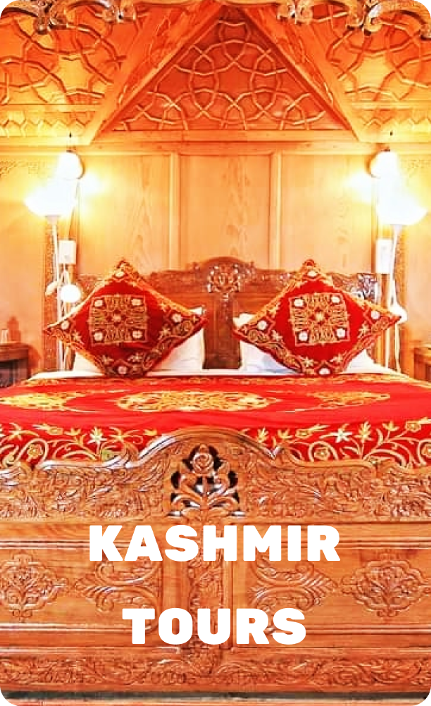 kashmir tour agency
