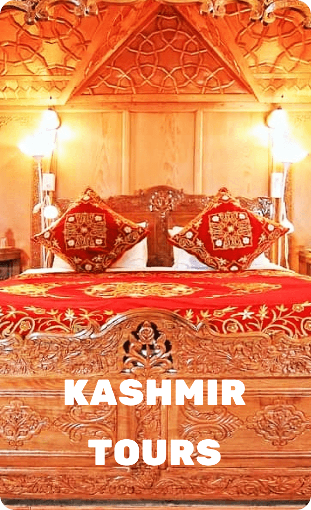 kashmir tour agency